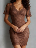 V-Neck Lace Sheer Bodycon Dress